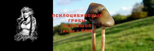 амф Абдулино
