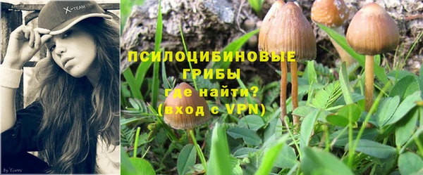 амф Абдулино