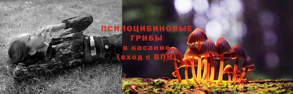 амф Абдулино